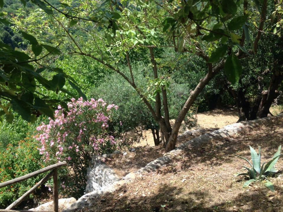 B&B Lo Straniero Rivello Dış mekan fotoğraf